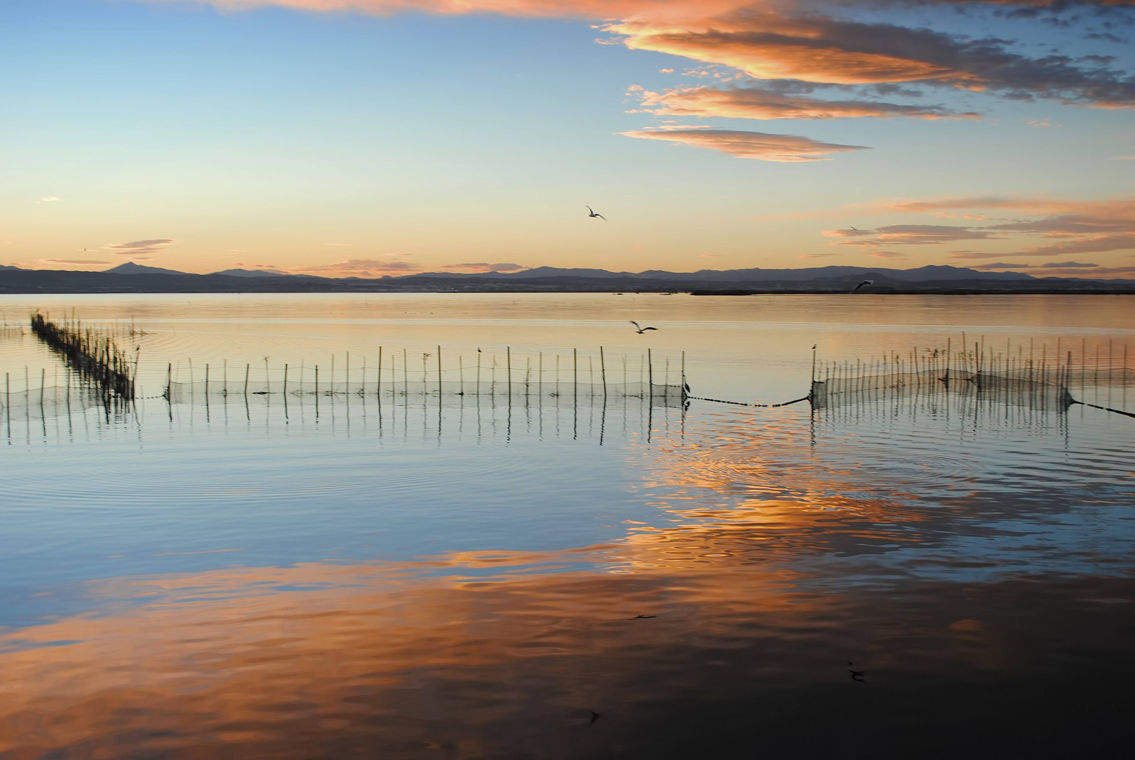 La Albufera en calma al caer la tarde, con las redes de pesca